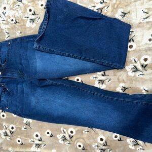 YMI Blue Flare Jeans